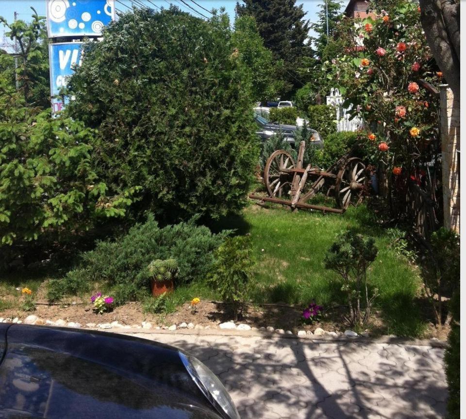 Eforie Villa-Colonial Εξωτερικό φωτογραφία